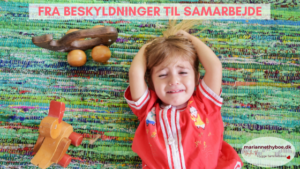 Fra beskyldninger til samarbejde Artikel Marianne Thyboe