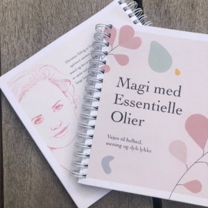 Magi med essentielle olier af Christine Eilvig Bog Marianne Thyboe